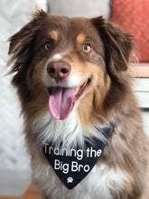 Load image into Gallery viewer, Joe Black - Reversible Dog Bandana