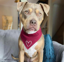 Load image into Gallery viewer, I Heart You - Reversible Dog Bandana