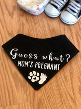 Load image into Gallery viewer, Joe Black - Reversible Dog Bandana