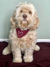 Load image into Gallery viewer, I Heart You - Reversible Dog Bandana