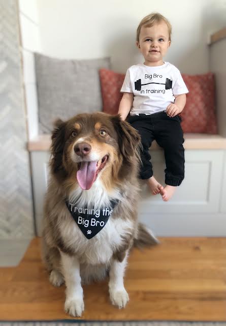 Big Brother (or Sister) In Training Micro tee