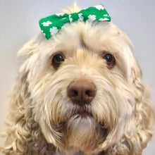 Load image into Gallery viewer, Luck of the Irish - Dog Bow
